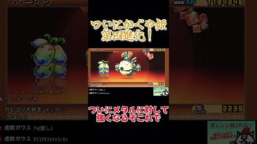 メタル潰しに行きます。#にゃんこ大戦争#伸びろ#進化#配信