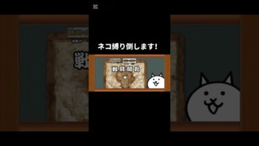 ネコ縛り進化への道攻略！#にゃんこ大戦争 #初心者