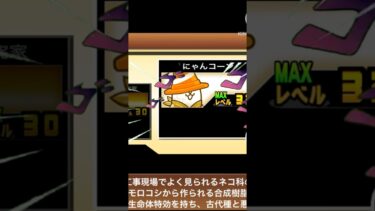 かわわっぱ撃破！！ #にゃんこ大戦争初心者 #圧倒的雑編集 #にゃんこ大戦争 #にゃんま #にゃんこーん