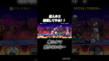 巨人ネコ(破壊してやる！)　　　　　　　　黒ミタマ(効かないなー！)狂乱の巨人ネコ初見攻略！#にゃんこ大戦争 #にゃんこ #にゃんこ大戦争初心者 #巨人ネコ