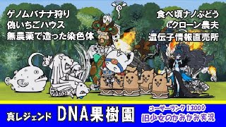 【にゃんこ大戦争】真レジェンドストーリー「DNA果樹園」かみかみ実況～ゲノムバナナ狩り・偽いちごハウス・無農薬で造った染色体・食べ頃ナノぶどう・クローン農夫・遺伝子情報直売所～