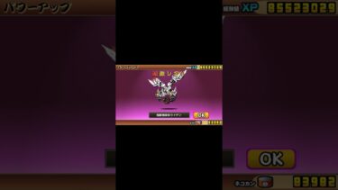 ライデンを進化させてみた！ 1