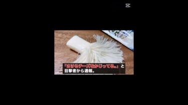 さけるチーズテロ　#おもしろ #ショート #すごい #バズれ #ゲーム #ゲーム実況 #にゃんこ大戦争 #スプラトゥーン3 #チャンネル登録お願いします #shorts #gaming