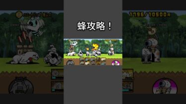 女帝飛来攻略！