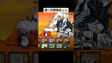 【にゃんこ大戦争】￤前から目標にしてた狂乱全クリ達成しました！！次は大狂乱目指して頑張る💪￤#にゃんこ大戦争#にゃんこ大戦争初心者#初心者#ショート#fyp#game#shorts