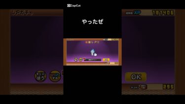 限定3体目や#にゃんこ大戦争初心者