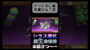 シラス進化やりますねー　#battlecats #にゃんこ大戦争 #ばずれ #ゲーム実況 #ゲーム #にゃんこ #なると