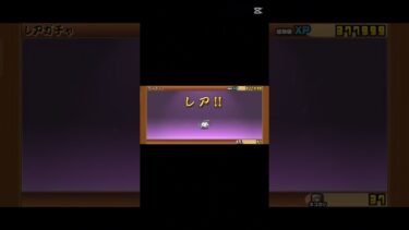 にゃんこ大戦争デビューした初心者が10連してみた（被りあり）