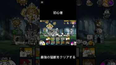 なんでこの編成で行けたんだ…？#syort #にゃんこ大戦争 #にゃんこ大戦争初心者
