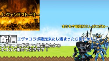 エヴァコラボ確定来たしネコカン集めます！ #にゃんこ大戦争 #配信 #エヴァコラボ