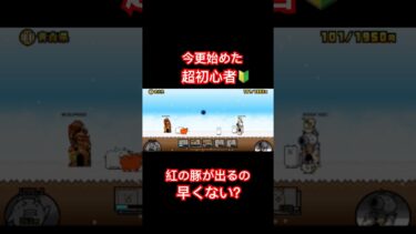 【にゃんこ大戦争】無課金超初心者　青森編