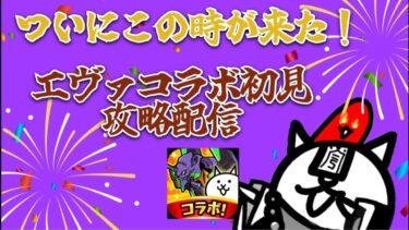 エヴァコラボ本気で楽しむ！