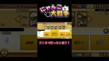 どこまで行ったと思うかコメントして！#にゃんこ大戦争 #編成 #初心者#shorts
