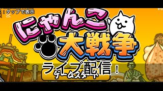 無言配信！ねこかん集めます！！