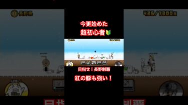 【にゃんこ大戦争】無課金超初心者　長野編