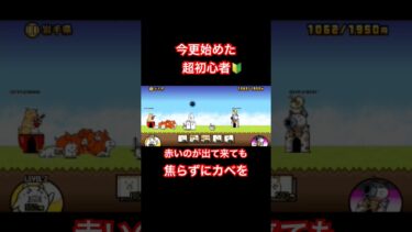 【にゃんこ大戦争】無課金超初心者　岩手編