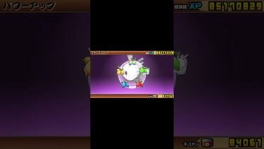 かぐや姫　進化 1