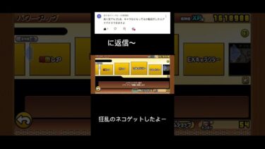 前の動画見てーそしたら意味わかるよー#にゃんこ大戦争 #shortvideo #ショートで応援 #ショート #なるとダンス#にゃんこ大戦争初心者
