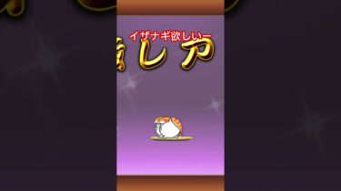 にゃんこ初心者のガチャ#にゃんこ大戦争 #のびろ ＃ガチャ