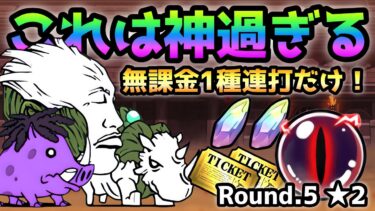 異次元コロシアム13  Round.5 ★2 無課金1種連打で神ウマ過ぎたw  にゃんこ大戦争